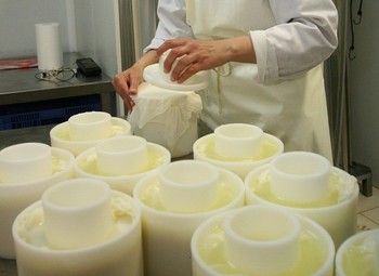 Производство Сыра/Доля в ООО