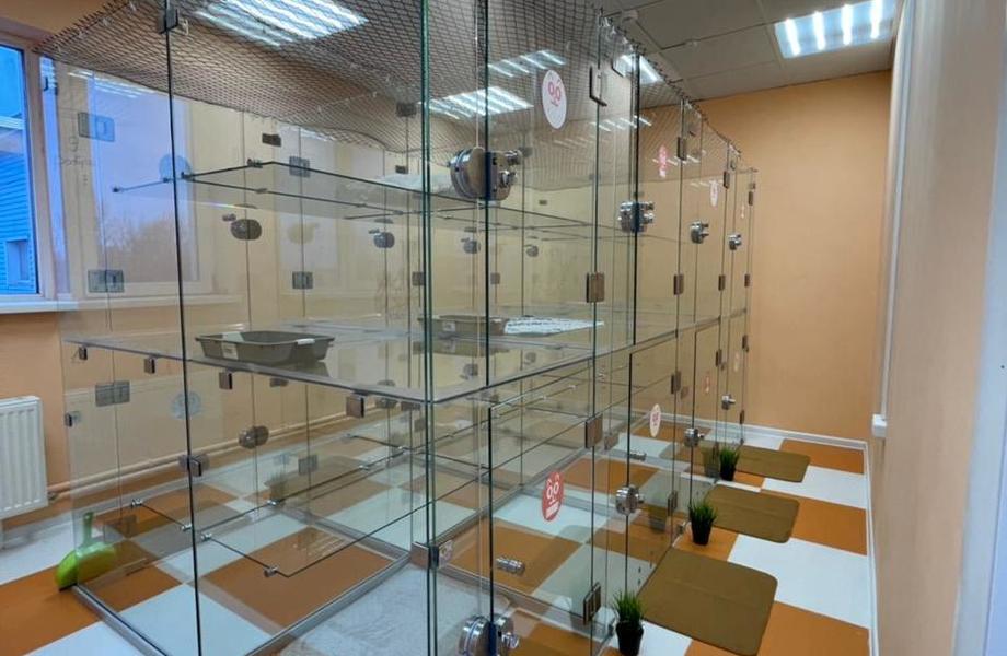Фото 2 Аренда гостиницы для животных и груминг-салона