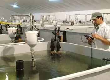 Оборудование для разведения форели, ниже рыночной стоимости