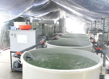 Оборудование для разведения форели, ниже рыночной стоимости