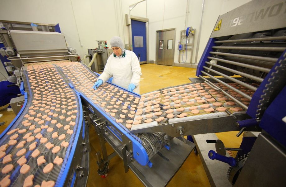 Фото 6 Производство готовых замороженных ужинов из рыбы / Уникальный продукт.