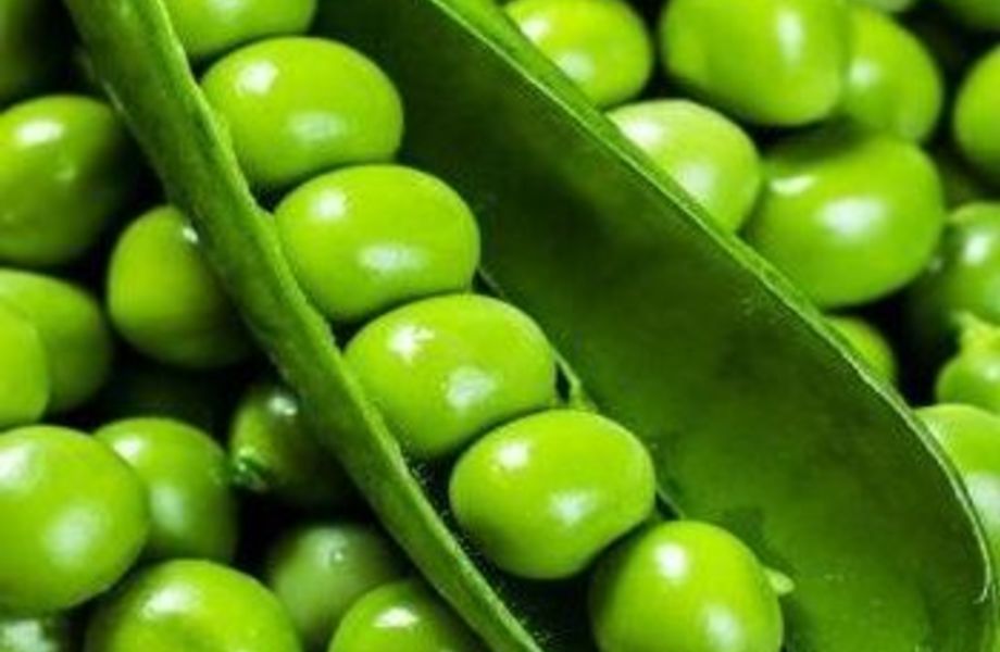 Фото 3 Магазин семян/удачная локация