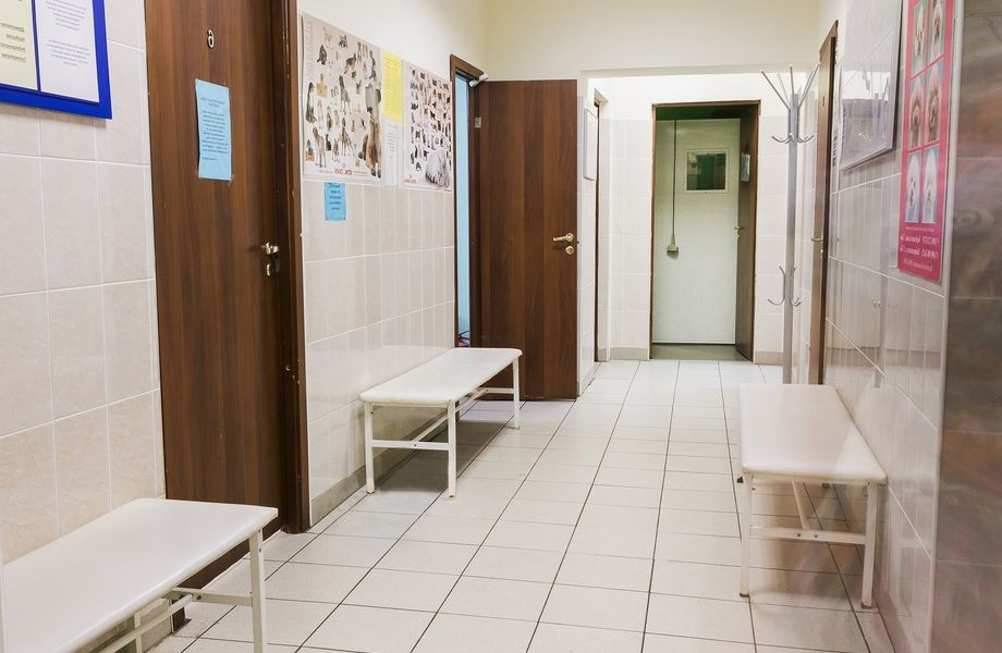 Фото 2 Ветеринарная клиника с рентгеном, гостиницей, аптекой