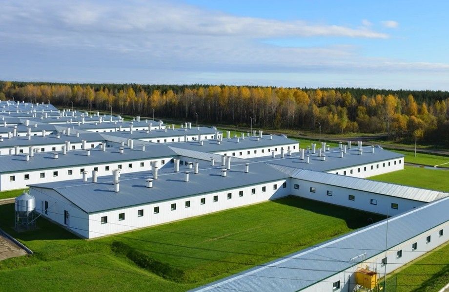 Фото 2 Птицефабрика в Ставропольском крае