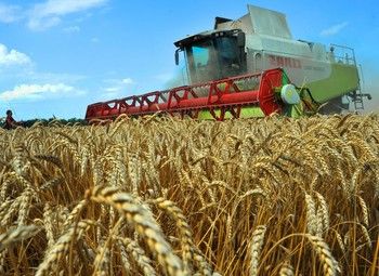 Фото Агропромышленный комплекс в Ростовской области