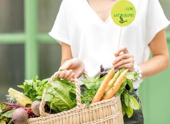 Фото 2 Интернет-магазин ЭКО продуктов/ Высокий спрос и прибыль