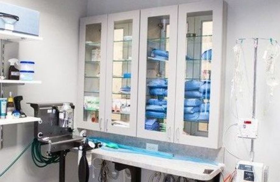 Фото 1 Новая ветеринарная клиника на Международной