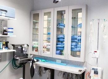 Фото Новая ветеринарная клиника на Международной