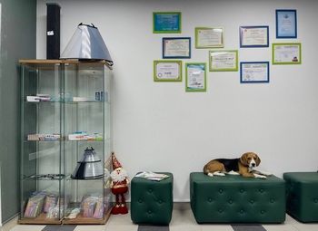 Фото Ветеринарная клиника в ЗАО