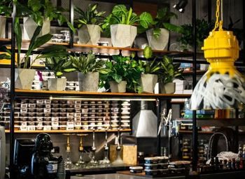 Кальян-бар в отдельно стоящем здании / 3 этажа