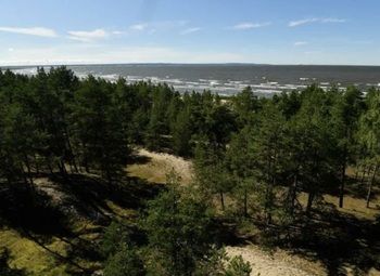 Фото Гостевой комплекс в Усть-Луге с окупаемостью менее 5 лет