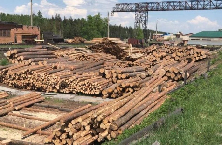 Лесопильное производство с высокоточным оборудование и низкой арендой