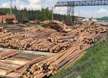 Фото Лесопильное производство с высокоточным оборудование и низкой арендой
