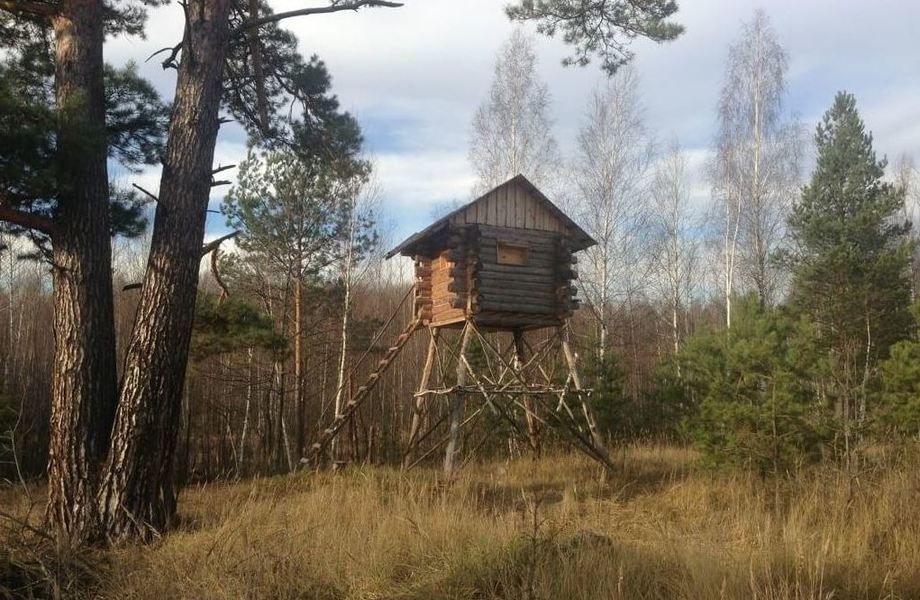 Охотничье угодье в Карелии