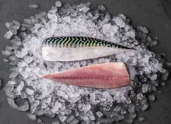 Доставка рыбы и др. морепродуктов