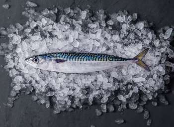 Доставка рыбы и др. морепродуктов