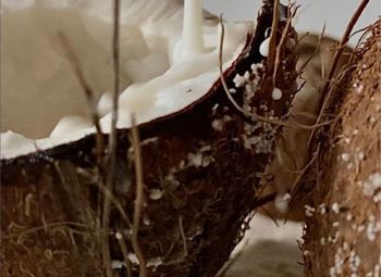 Фото 4 Производство с магазинами на маркетплейсах