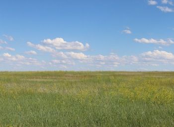 Земля в курортном районе под базу отдыха