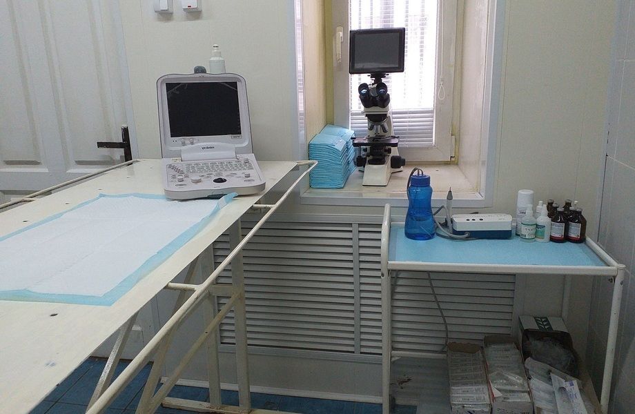 Фото 3 Ветеринарная клиника с оборудованием