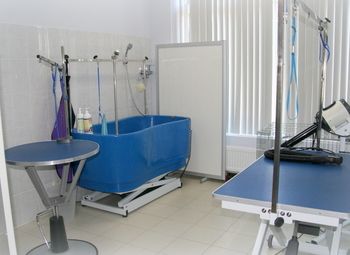 Фото Груминг салон под ключ / Полное сопровождение