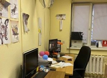 Фото Бизнес на Гелиевых шарах