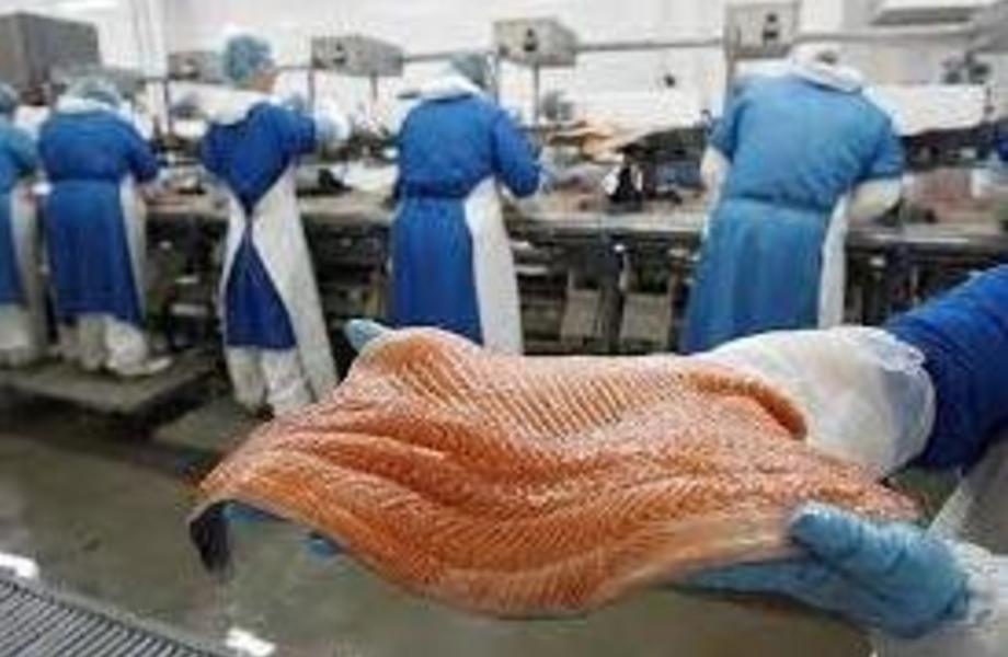 Фото 1 Рыбоперерабатывающее производство + 7 розничных магазинов