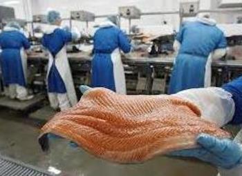 Фото Рыбоперерабатывающее производство + 7 розничных магазинов