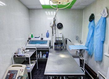 Фото Ветеринарная клиника + ветаптека