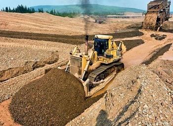 50% Доли в Золотодобывающих приисках 