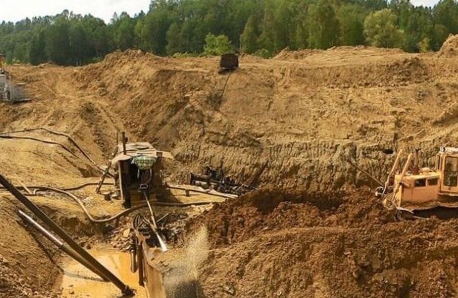 30% Доли в Золотодобывающих приисках
