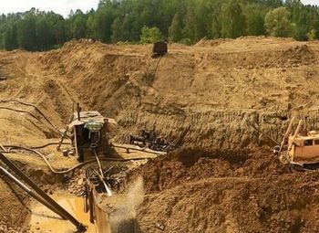 30% Доли в Золотодобывающих приисках