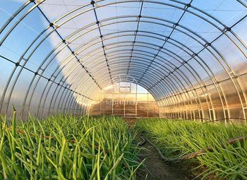 Фото 2 Производство теплиц/ 5 лет работы/ пассивный доход