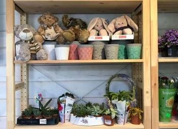 Цветочный магазин под ключ