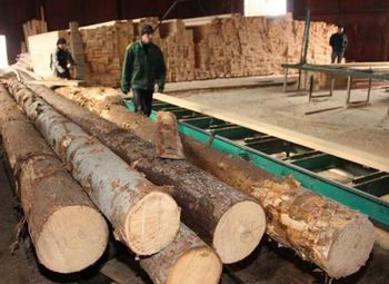 Деревоперерабатывающие производство  