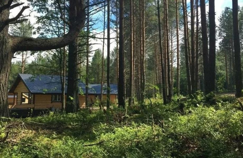 База отдыха с отличными оценками/Прибыльный бизнес
