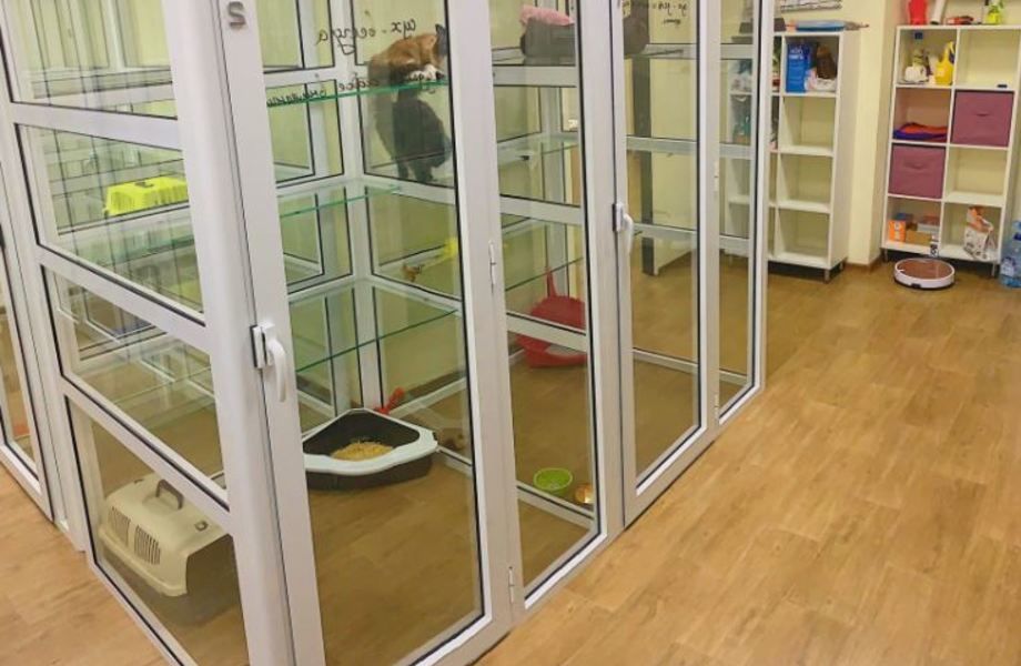 Гостиница для кошек в бизнес центре