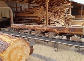 Фото Пилорама рядом с строющимся коттеджным поселком с быстрой окупаемостью