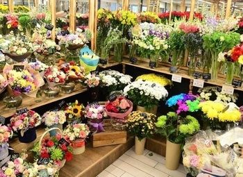 Фото 3 Готовый цветочный бизнес В центре СПБ