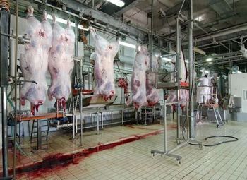 Скотобойня в собственность 2.5 гектар 