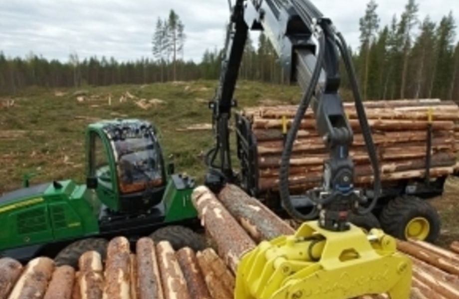 Фото 2 Готовый бизнес по лесозаготовке, с арендой на 49 лет