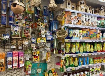 Зоомагазин в районном центре