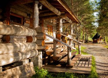 База отдыха в северном лесу