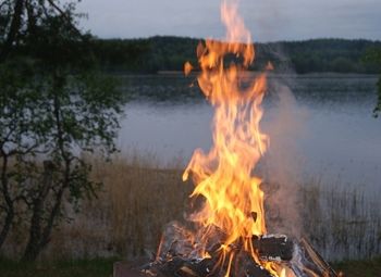 База отдыха в северном лесу