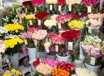 Готовый бизнес Цветочный магазин с большим ассортиментом
