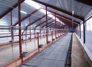 Готовый бизнес молочная ферма собственность 40Га