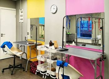 Создание салона ухода за животными 