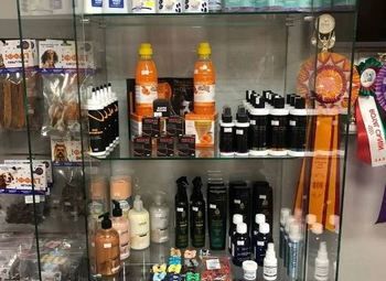 Создание салона ухода за животными 