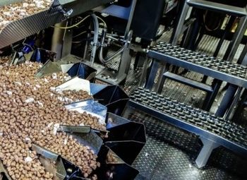 Производство питания для собак / нет аналогов