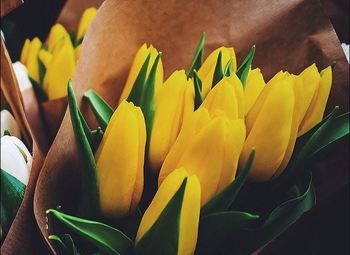 Цветочный бутик в центре города с высокой проходимостью