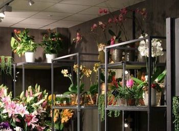 Магазин цветов с подтвержденной прибылью